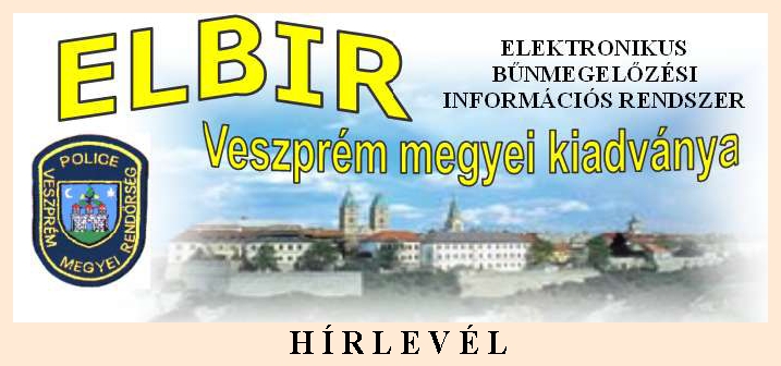 ELBIR